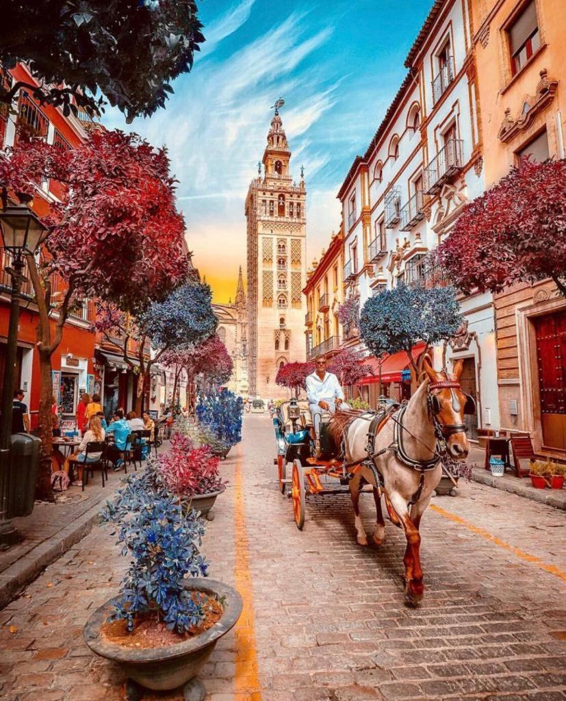 City Center Sevilla סביליה מראה חיצוני תמונה